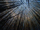 Artwork "Penetrable Amarillo" at Museum of Modern Art