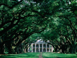 Oak Alley Plantation in Mississippi River Valley