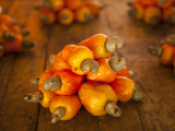 Caju or Cashew Fruit