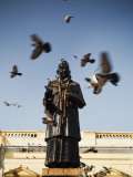 Pigeons  Old Delhi Town Hall  Chandni Chowk