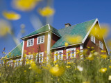 Red House Seen Through Meadow of Yellow Buttercup Flowers