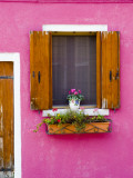 Pot Plant and Vividly Painted Facade  Burano