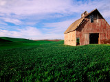 Red Barn in Field