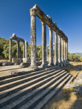 Zeus Temple of Euromos