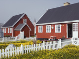 Kolonihavn Buildings and Flower Meadows