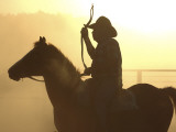 Man on Horse Working Cattle in Yards at Bullo River Station  Near Kununurra
