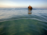 Elephant 'Rajes' Wading into Sea with His Mahout on Back