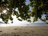 Sunrise Through Leaves at Beach of Charlies Eek Island