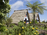 Traditional A-Frame Palheiro Houses