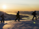 Skiers on Peak of Daltinden at Night Time in Midnight Sun