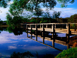 Small Jetty at Lake Daylesford