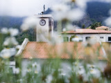 Flowers and Church
