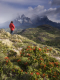 Cuernos Massif from Above Lago Pehoe