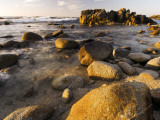 Sunset Along Pacific Grove Coastline