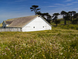 Historic Farm House Surrounded by Wildflowers at End of Pierce Point Road
