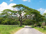 Country Road