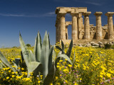 Selinunte Temple Ruin