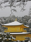 Kinkakuji Temple  the Golden Pavilion Covered in Snow