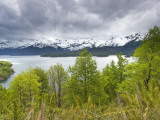 Lago Conguillio Lake