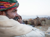 Camel Trader Overseeing Camels