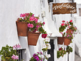Flowerboxes on Walls