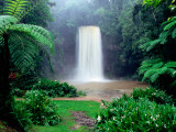 Millaa Millaa Falls