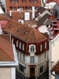 Old Town Rooftops from Toompea (Castle Hill)