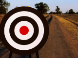 Archery Target on Country Road