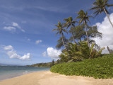 Twenty Mile Beach with Palm Trees