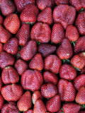 Fresh Strawberries for Sale  Vega Central De Santiago