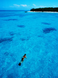 Snorkelling around Musgrove Island on the Great Barrier Reef