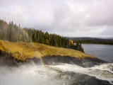 Tannforsen Waterfall and Nature Reserve