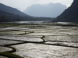 Man Walking in Ricefields Near Ke Bang National Park