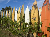 Colourful Surfboard Fence