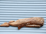 Whale Sign for Local Shop