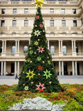 Christmas Tree at Circular Quay