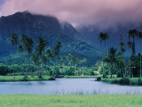 Looking across Tropical Landscape Up to Mt Waialeale from Hanalei