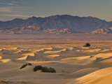 Cadiz Dunes at Sunrise  Sheephole Mountains in Distance in Mojave Desert