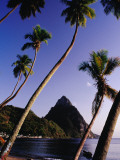 Palm Trees and Fishing Boats on Soufriere Beach with One of the Pitons in the Background