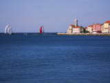 Sailing Boats Racing across Piran Bay Away from Rt Madona Headland