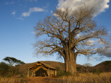 Babu's Camp