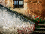 Adobe Stairs with Geraniums