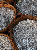 Baskets of Fish on Beach