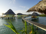 Wooden Walkways Leading Out to Cabins at Punta Caracol Hotel