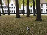 Begijnhof (Beguinage)