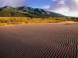 Rippled Sand and Desert Landscape Covered with Rabbitbrush