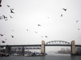 View of Burrard Bridge from Granville Market