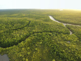 Aerial View of River Near Northern Tip of Cape York