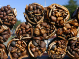 Bundles of Dried Kelp (Cochayuyo) for Sale at Seaside Stall