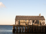 Exhibition Titled "They also Faced the Sea"